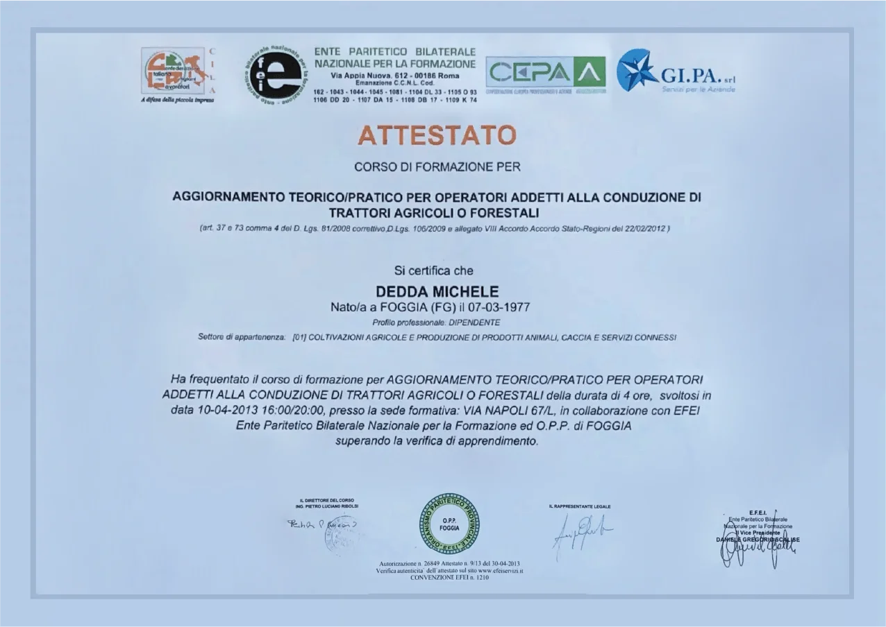 Certificato 2